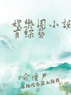 娱乐圈小说推荐有综艺