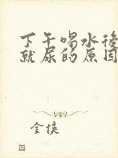 下午喝水后很快就尿的原因