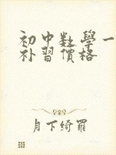 初中数学一对一补习价格