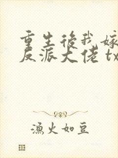 重生后我嫁给了反派大佬 txt