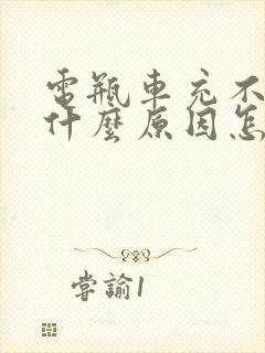 电瓶车充不进电什么原因怎么解决