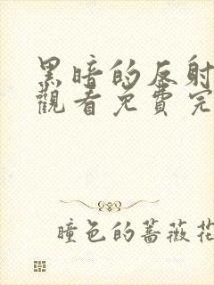 黑暗的反射在线观看免费完整版