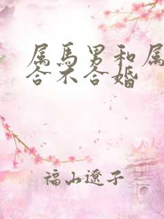 属马男和属兔女合不合婚