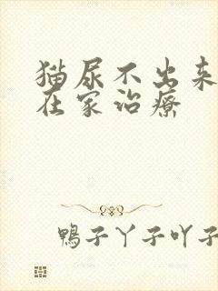 猫尿不出来怎么在家治疗