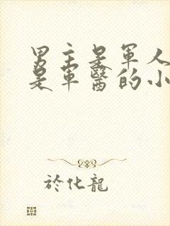 男主是军人女主是军医的小说