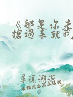 《那是你老婆,抢过来就我的了》歌词