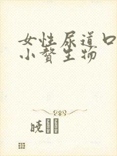 女性尿道口处有小赘生物