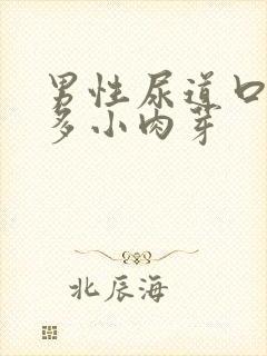 男性尿道口长很多小肉芽