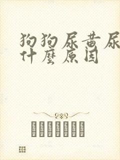 狗狗尿黄尿少是什么原因