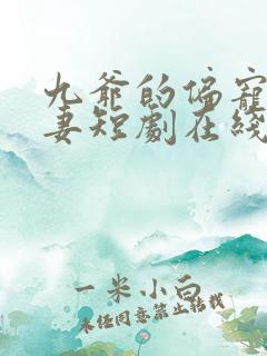 九爷的偏宠小甜妻短剧在线全集