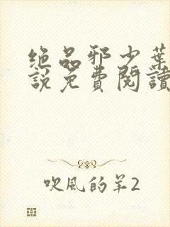 绝品邪少叶潇小说免费阅读的