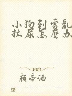 小狗到处乱拉屎拉尿怎么办