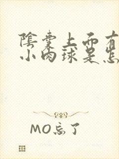 阴囊上面有一个小肉球是怎么回事