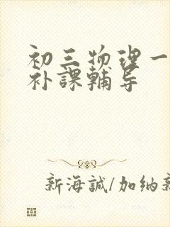 初三物理一对一补课辅导