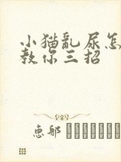 小猫乱尿怎么办教你三招