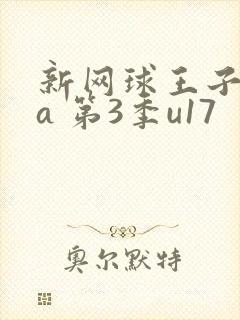 新网球王子ova 第3季u17