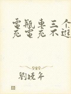 电瓶车三个月没充电充不进电怎么办