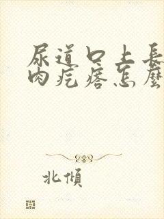 尿道口上长了个肉疙瘩怎么回事