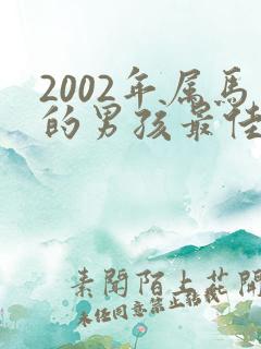 2002年属马的男孩最佳婚配