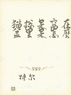 猫总是窝在猫砂盆里是怎么回事