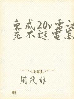 东成20v电池充不进电怎么办