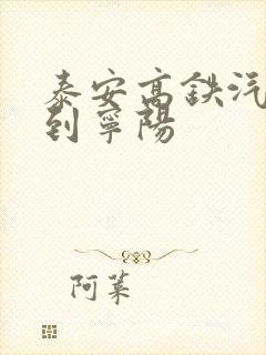 泰安高铁汽车站到宁阳