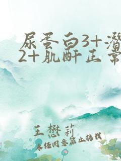 尿蛋白3+潜血2+肌酐正常