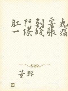 肛门到睾丸中间一条线胀痛