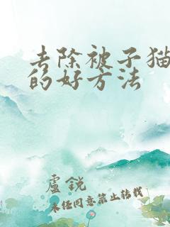 去除被子猫尿味的好方法