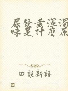 尿发黄浑浊有异味是什么原因造成的