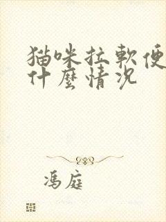 猫咪拉软便呕吐什么情况