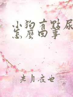 小狗有点尿血是怎么回事