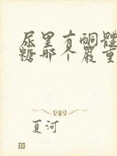 尿里有酮体和尿糖哪个严重