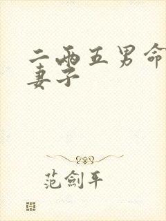 二两五男命最佳妻子