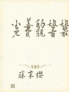 小善的姐姐动漫免费观看最新章节