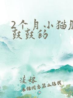 2个月小猫肚子鼓鼓的