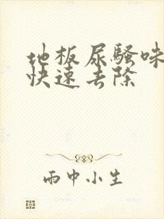 地板尿骚味怎么快速去除