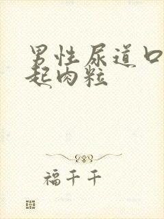 男性尿道口突然起肉粒