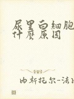 尿里白细胞高是什么原因