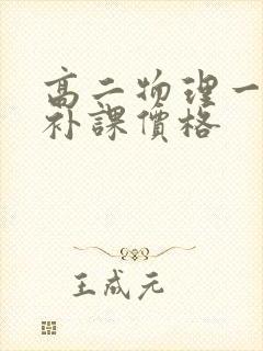 高二物理一对一补课价格