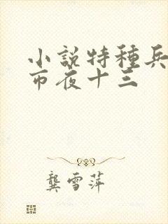 小说特种兵在都市夜十三