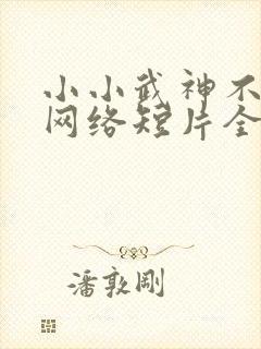 小小武神不好惹网络短片全集免费