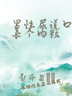 男性尿道口上面长个肉粒