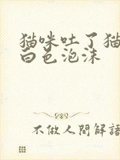 猫咪吐了猫粮和白色泡沫