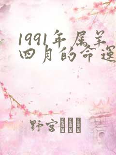 1991年属羊四月的命运如何