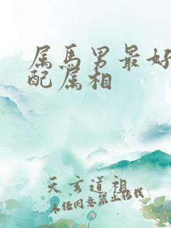 属马男最好的婚配属相