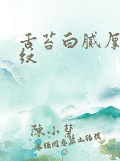 舌苔白腻厚有裂纹