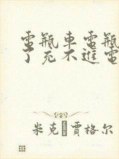 电瓶车电瓶放久了充不进电怎么办