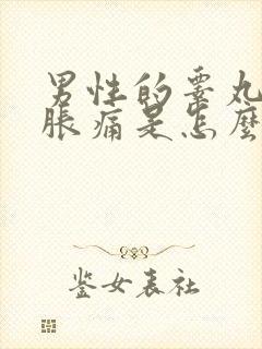 男性的睾丸有点胀痛是怎么回事