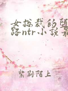 女总裁的堕落之路ntr小说最新章节